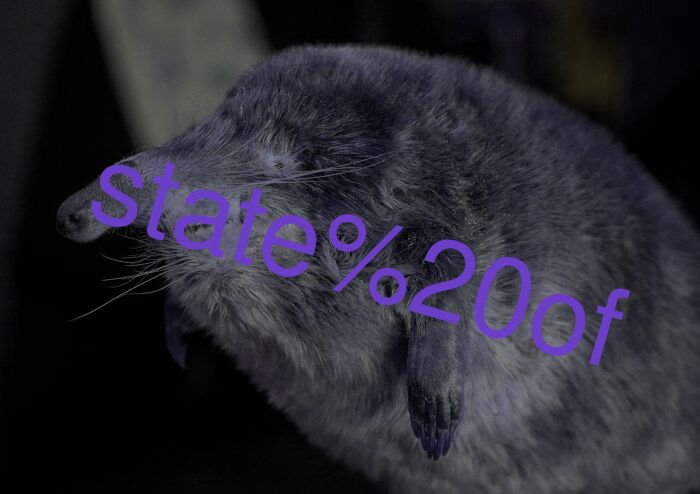 state of